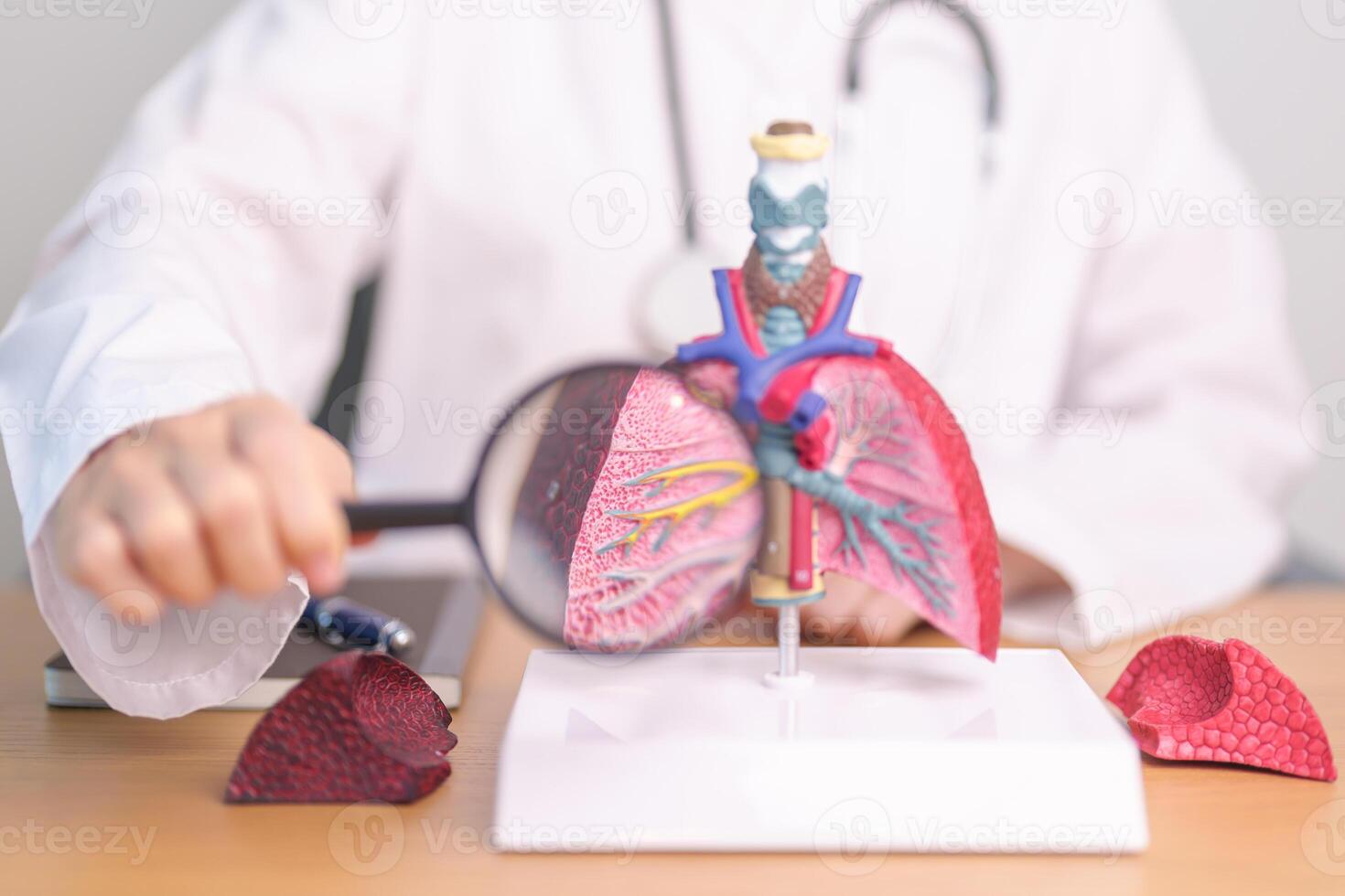 Doctor with Smoker Lung anatomy with magnifying glass. Lung Cancer, Asthma, Chronic Obstructive Pulmonary or COPD, Bronchitis, Emphysema, Cystic Fibrosis, Bronchiectasis, Pneumonia and world Lung day photo