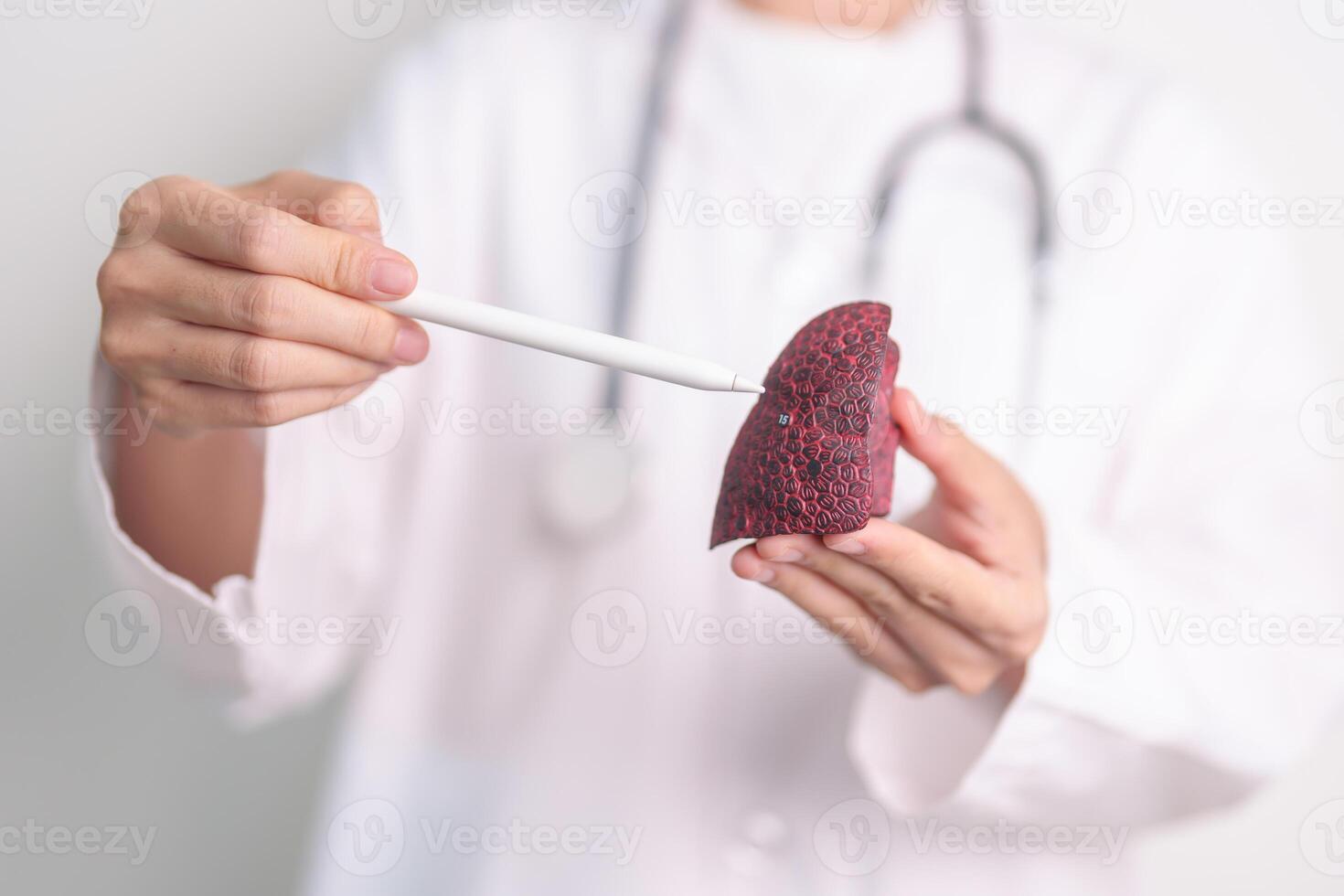 Doctor with Smoker and normal Lung anatomy for Disease. Lung Cancer, Asthma, Chronic Obstructive Pulmonary or COPD, Bronchitis, Emphysema, Cystic Fibrosis, Bronchiectasis, Pneumonia and world Lung day photo