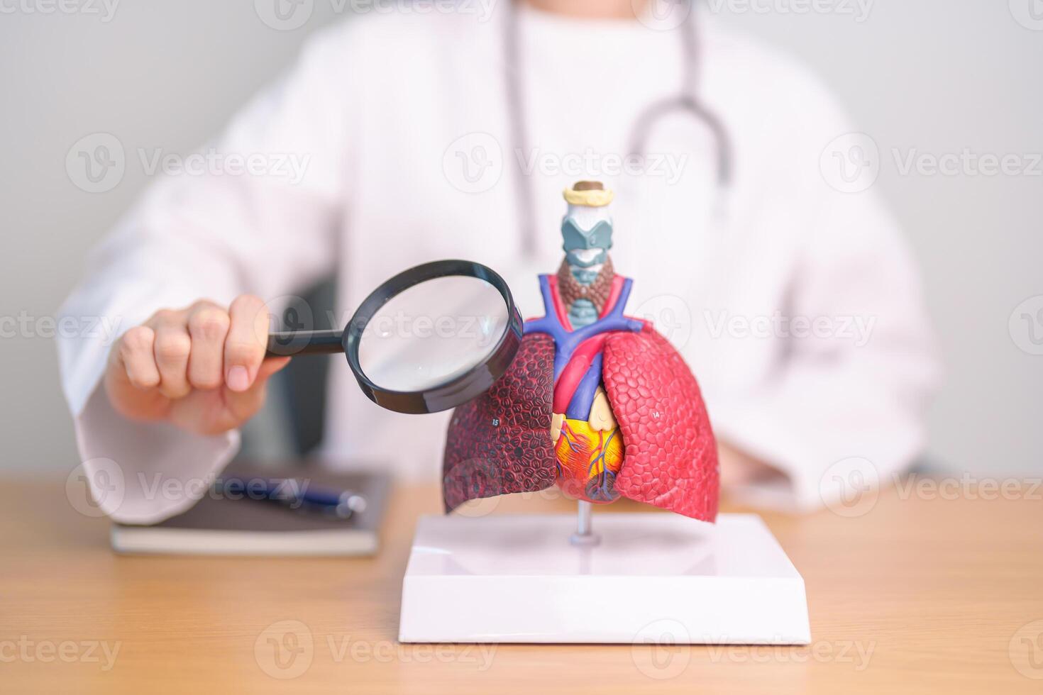 Doctor with Smoker Lung anatomy with magnifying glass. Lung Cancer, Asthma, Chronic Obstructive Pulmonary or COPD, Bronchitis, Emphysema, Cystic Fibrosis, Bronchiectasis, Pneumonia and world Lung day photo