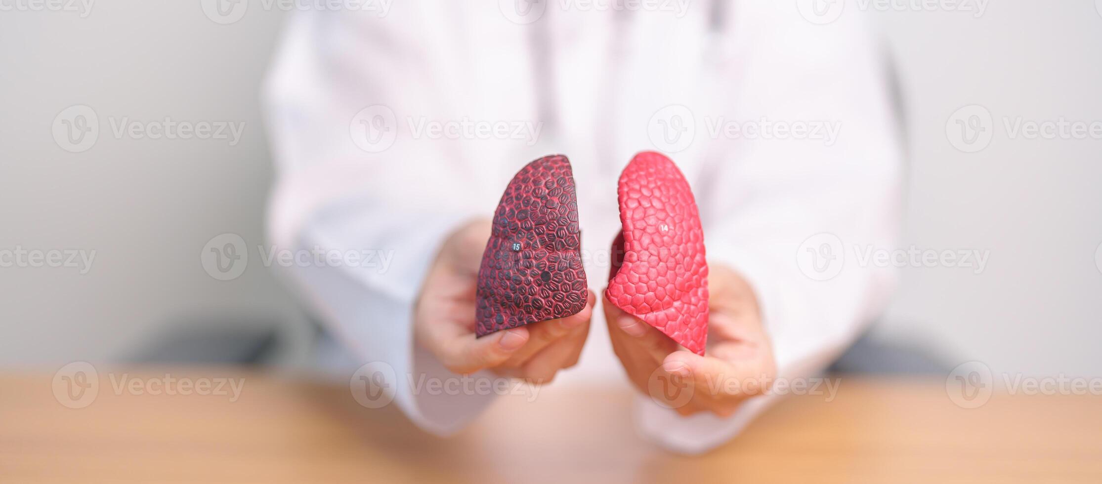 Doctor with Smoker and normal Lung anatomy for Disease. Lung Cancer, Asthma, Chronic Obstructive Pulmonary or COPD, Bronchitis, Emphysema, Cystic Fibrosis, Bronchiectasis, Pneumonia and world Lung day photo