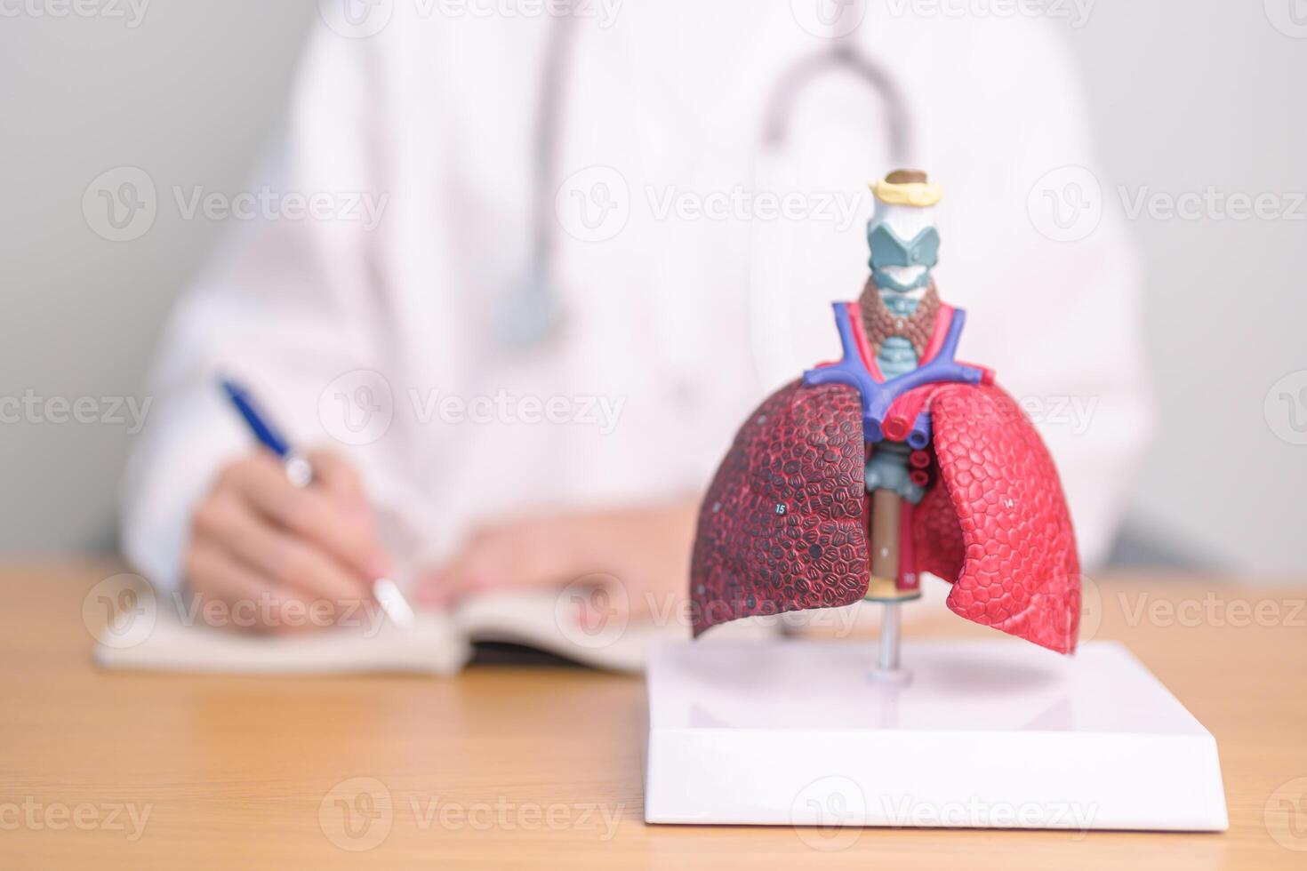 Doctor with Smoker and normal Lung anatomy for Disease. Lung Cancer, Asthma, Chronic Obstructive Pulmonary or COPD, Bronchitis, Emphysema, Cystic Fibrosis, Bronchiectasis, Pneumonia and world Lung day photo