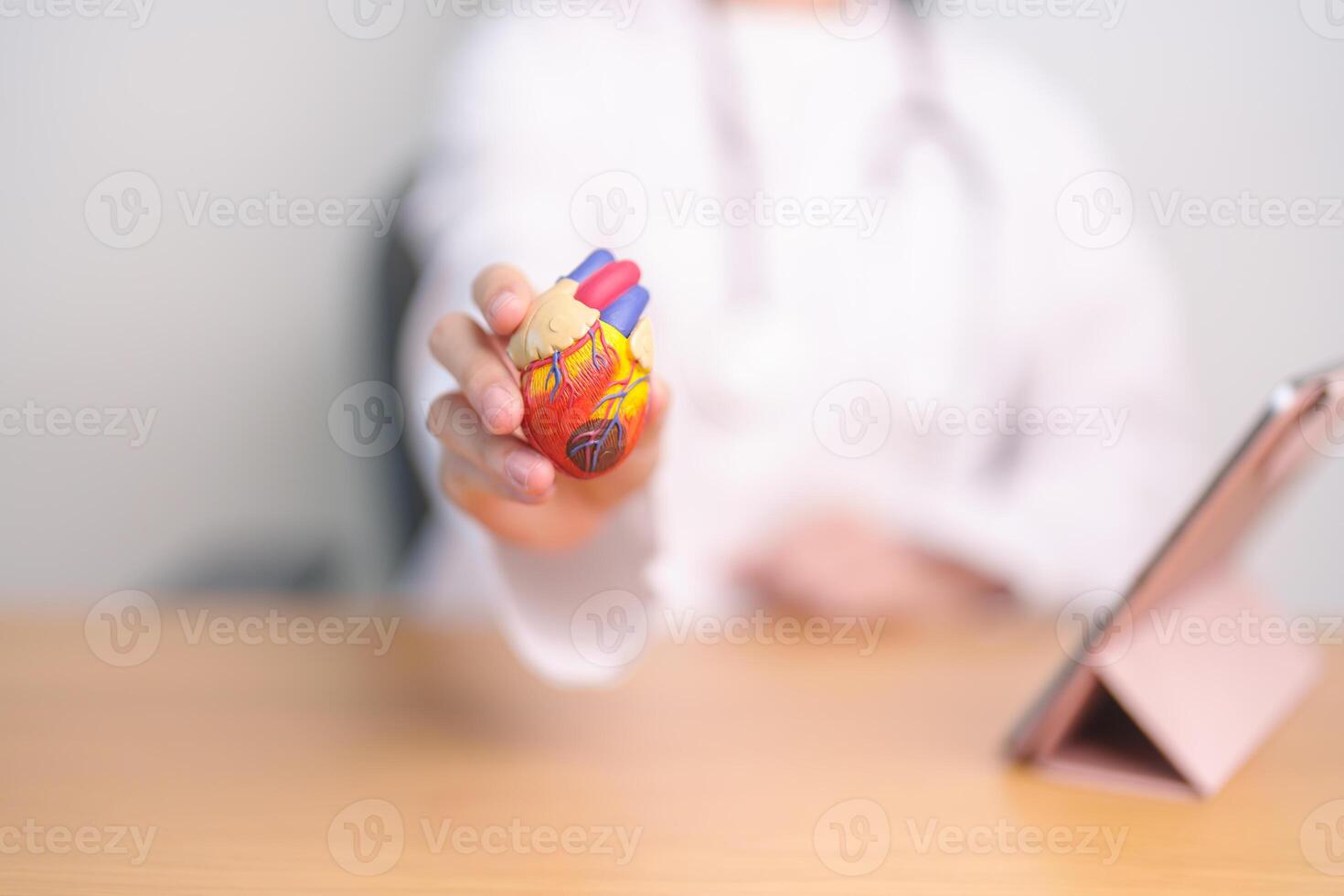 Doctor hold human Heart anatomy model. Cardiovascular Diseases, Atherosclerosis, Hypertensive Heart, Valvular Heart, Aortopulmonary window, world Heart day and health concept photo