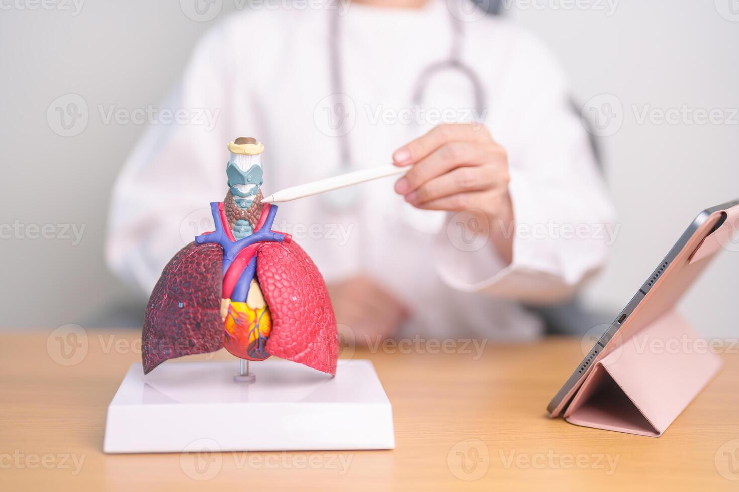 Doctor pointing Thyroid of Respiratory system anatomy for Diseases. Lung Cancer, Asthma, Chronic Obstructive Pulmonary or COPD, Bronchitis, Emphysema, Cystic Fibrosis, Bronchiectasis and Pneumonia photo