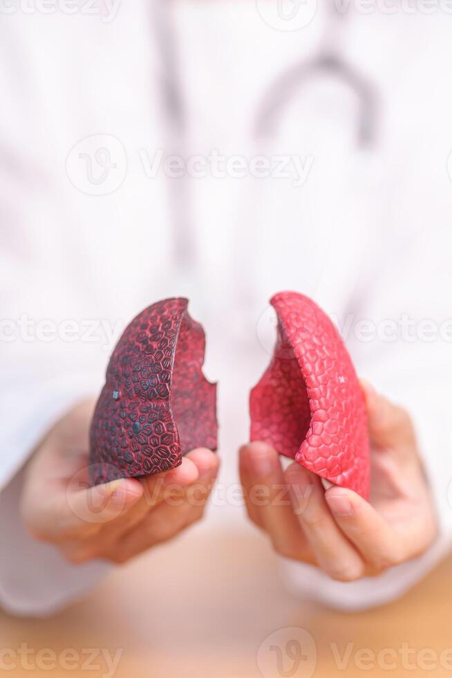 Doctor with Smoker and normal Lung anatomy for Disease. Lung Cancer, Asthma, Chronic Obstructive Pulmonary or COPD, Bronchitis, Emphysema, Cystic Fibrosis, Bronchiectasis, Pneumonia and world Lung day photo