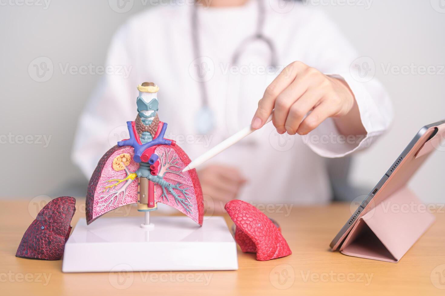 Doctor with Smoker and normal Lung anatomy for Disease. Lung Cancer, Asthma, Chronic Obstructive Pulmonary or COPD, Bronchitis, Emphysema, Cystic Fibrosis, Bronchiectasis, Pneumonia and world Lung day photo