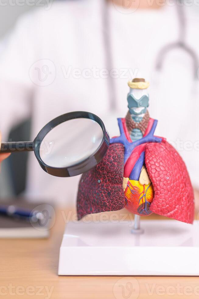 Doctor with Smoker Lung anatomy with magnifying glass. Lung Cancer, Asthma, Chronic Obstructive Pulmonary or COPD, Bronchitis, Emphysema, Cystic Fibrosis, Bronchiectasis, Pneumonia and world Lung day photo