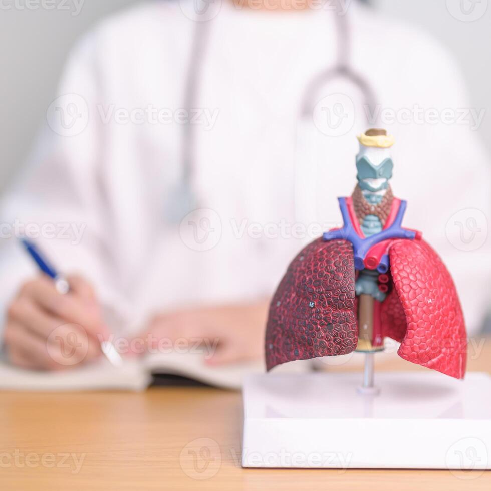 Doctor with Smoker and normal Lung anatomy for Disease. Lung Cancer, Asthma, Chronic Obstructive Pulmonary or COPD, Bronchitis, Emphysema, Cystic Fibrosis, Bronchiectasis, Pneumonia and world Lung day photo