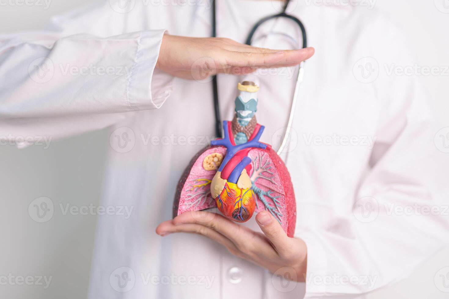 Hand cover Respiratory and Cardiovascular system anatomy. Lung Cancer, Asthma, Chronic Obstructive Pulmonary or COPD, Bronchitis, Emphysema, Cystic Fibrosis, Bronchiectasis, Pneumonia.Health Insurance photo