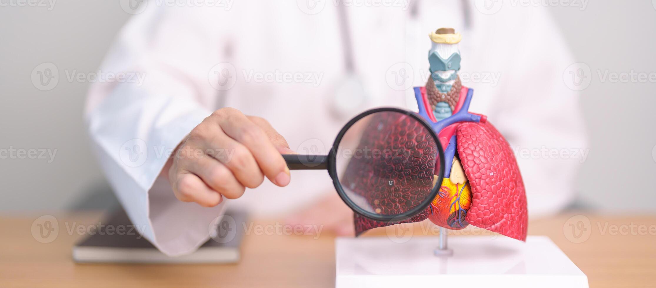 Doctor with Smoker Lung anatomy with magnifying glass. Lung Cancer, Asthma, Chronic Obstructive Pulmonary or COPD, Bronchitis, Emphysema, Cystic Fibrosis, Bronchiectasis, Pneumonia and world Lung day photo
