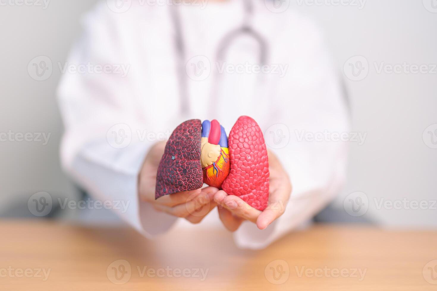 Doctor with Respiratory system anatomy for Diseases. Lung Cancer, Asthma, Chronic Obstructive Pulmonary or COPD, Bronchitis, Emphysema, Cystic Fibrosis, Bronchiectasis, Pneumonia and Pleural Effusion photo
