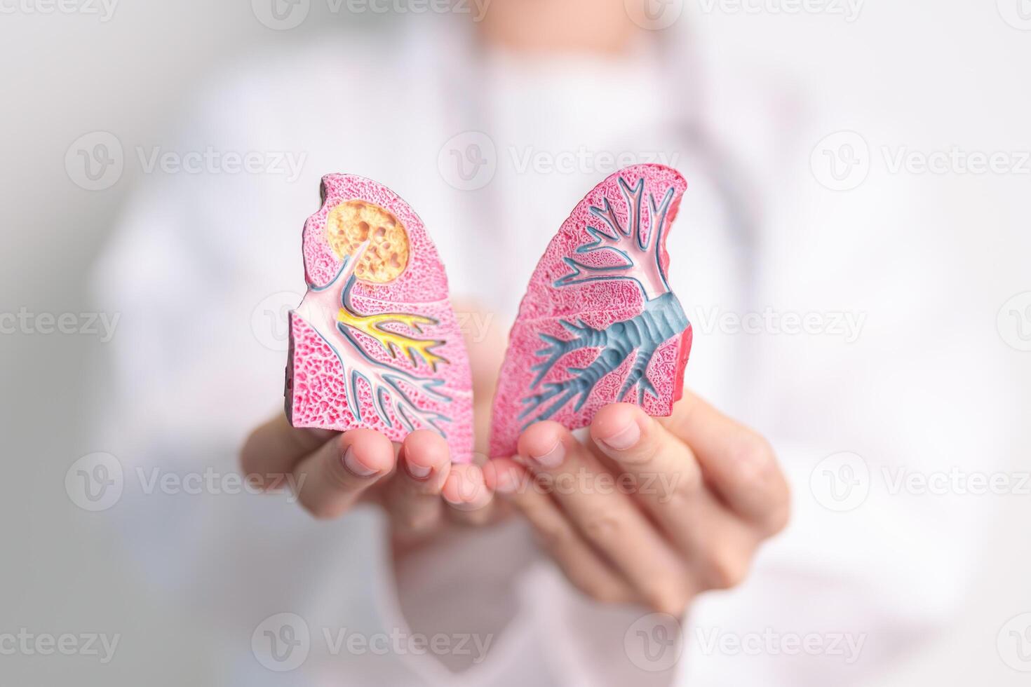 Doctor with Smoker and normal Lung anatomy for Disease. Lung Cancer, Asthma, Chronic Obstructive Pulmonary or COPD, Bronchitis, Emphysema, Cystic Fibrosis, Bronchiectasis, Pneumonia and world Lung day photo
