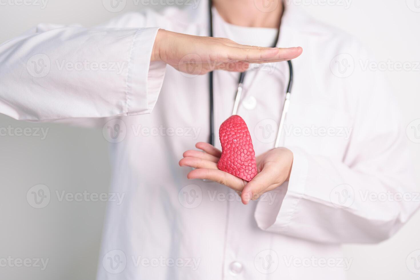 Doctor hand cover Lung anatomy. Lung Cancer, Asthma, Chronic Obstructive Pulmonary or COPD, Bronchitis, Emphysema, Cystic Fibrosis, Bronchiectasis, Pneumonia. world Lung day and Health Insurance photo