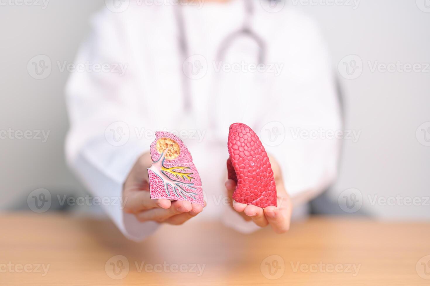 Doctor with Smoker and normal Lung anatomy for Disease. Lung Cancer, Asthma, Chronic Obstructive Pulmonary or COPD, Bronchitis, Emphysema, Cystic Fibrosis, Bronchiectasis, Pneumonia and world Lung day photo