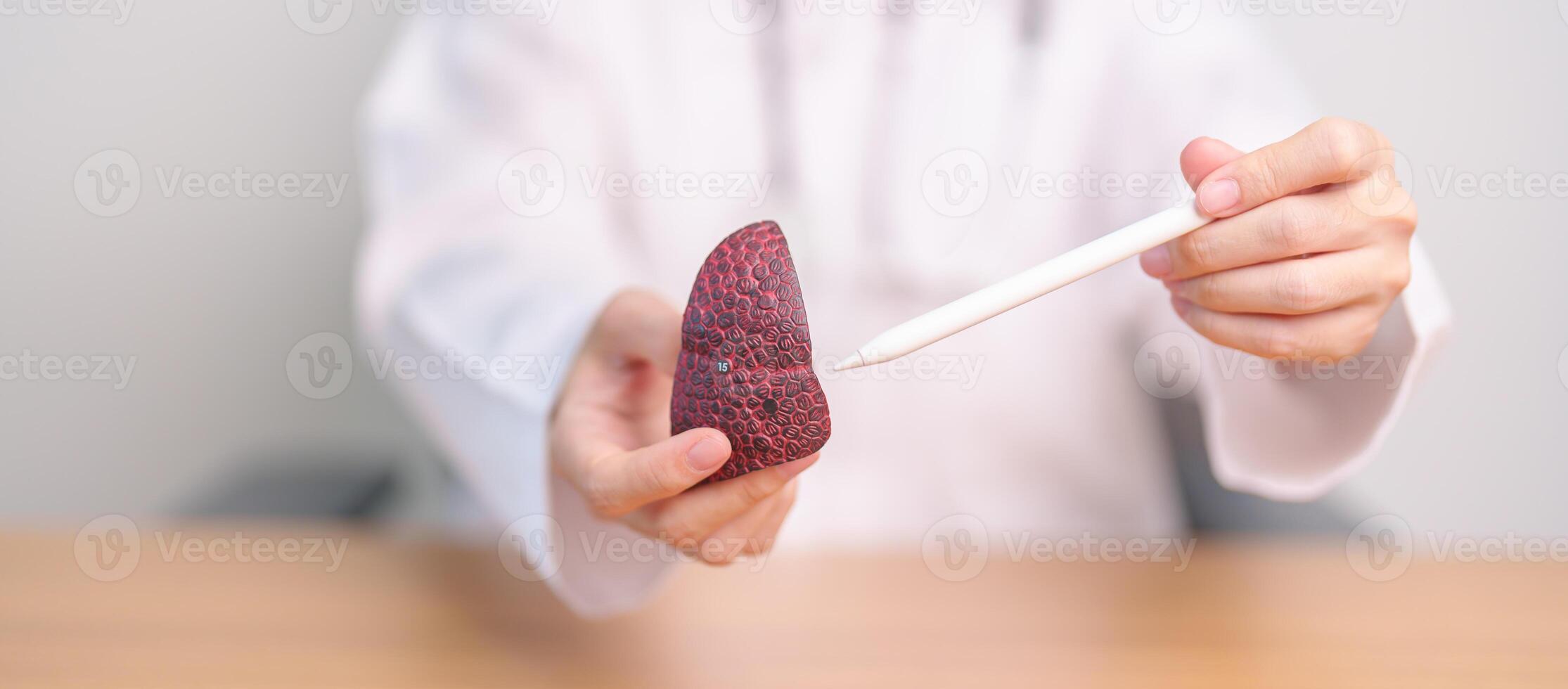 Doctor with Smoker and normal Lung anatomy for Disease. Lung Cancer, Asthma, Chronic Obstructive Pulmonary or COPD, Bronchitis, Emphysema, Cystic Fibrosis, Bronchiectasis, Pneumonia and world Lung day photo