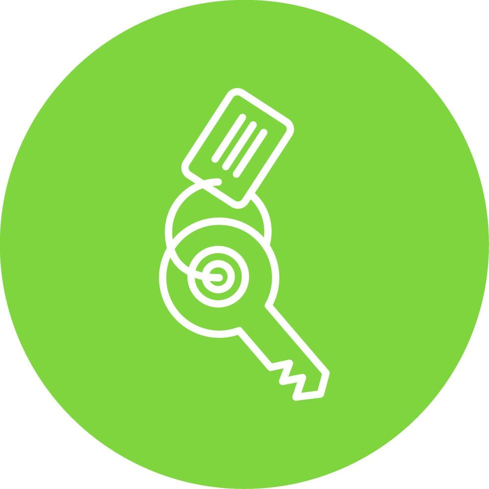 Keychain Multi Color Circle Icon vector