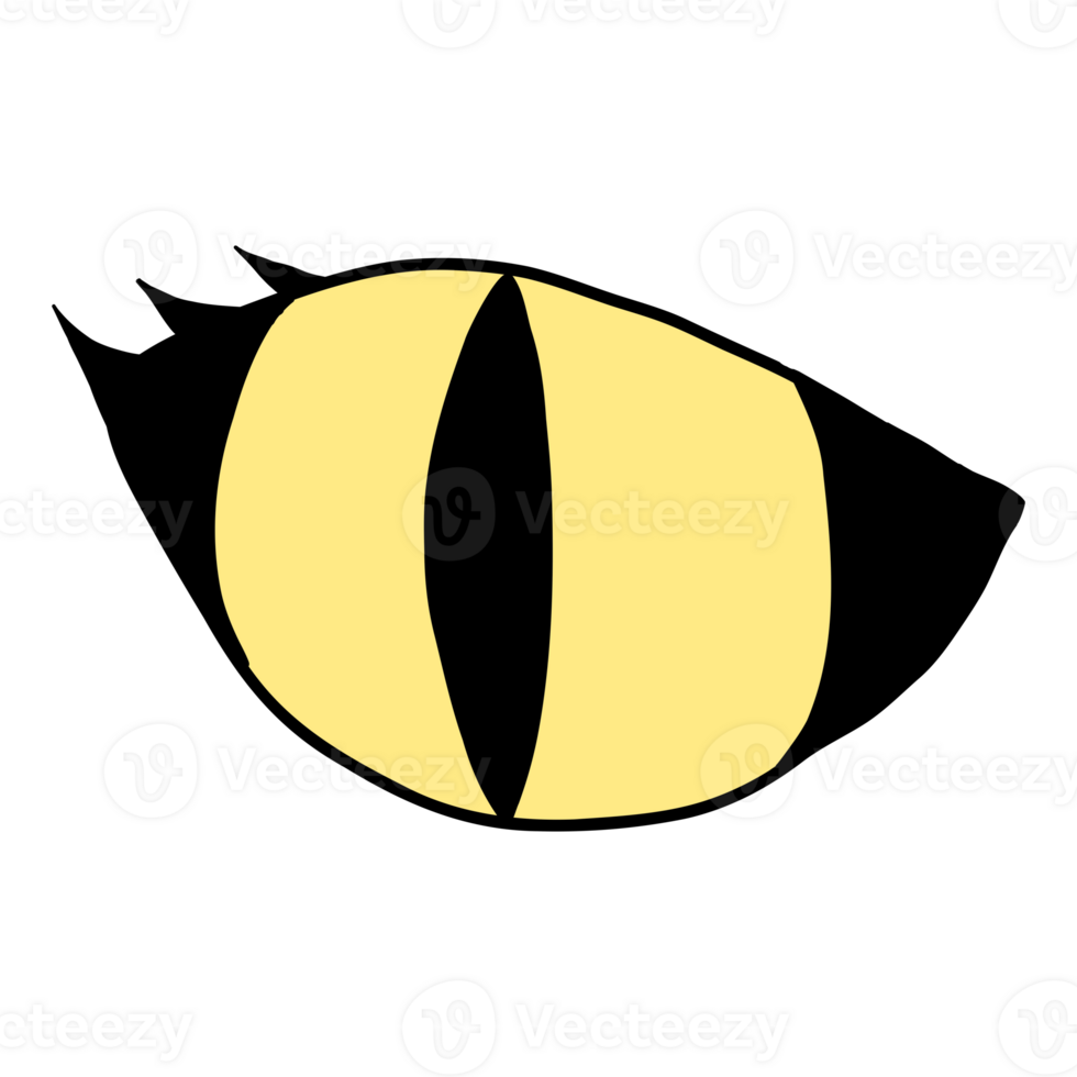 Hand drawing of cat eye, animal eye png