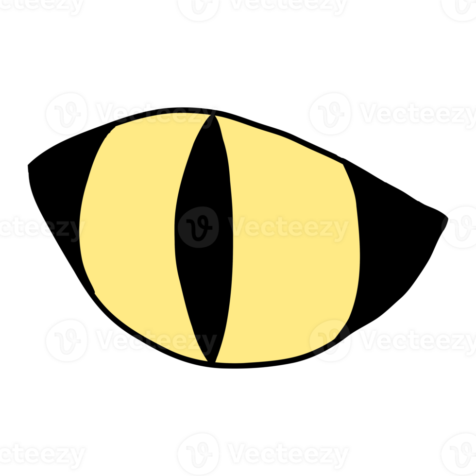 Hand drawing of cat eye, animal eye png