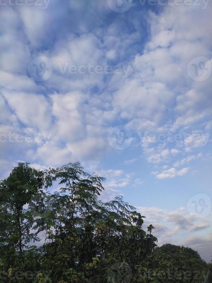 arboles con azul cielo y blanco nubes para antecedentes. verano fiesta concepto. foto