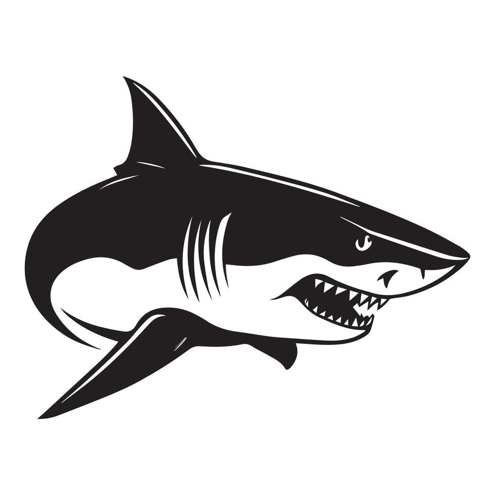 Fierce Black and White Shark Illustration vector