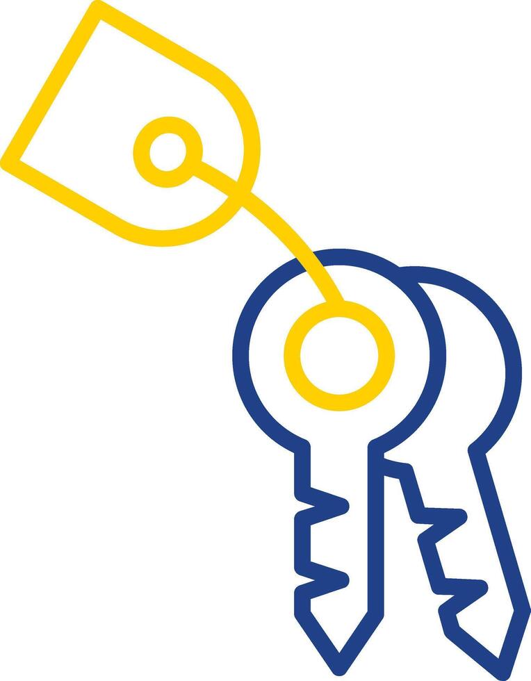 Keys Line Two Colour Icon Design vector