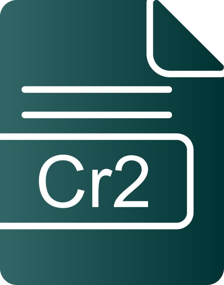 Cr2 File Format Glyph Gradient Icon vector
