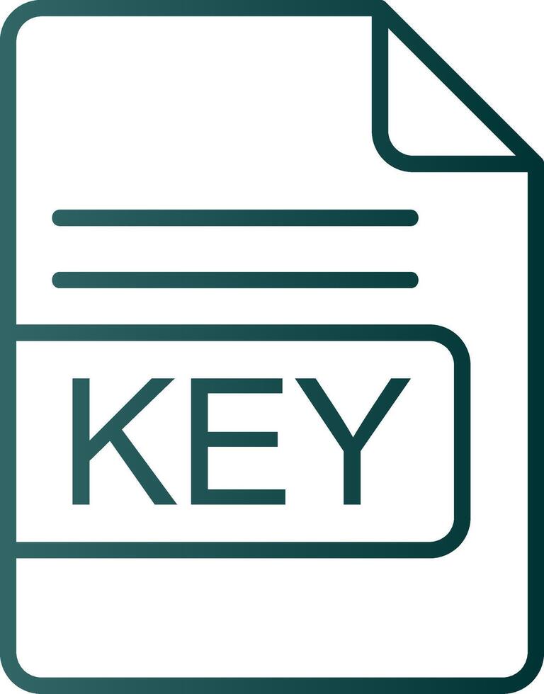 KEY File Format Line Gradient Icon vector