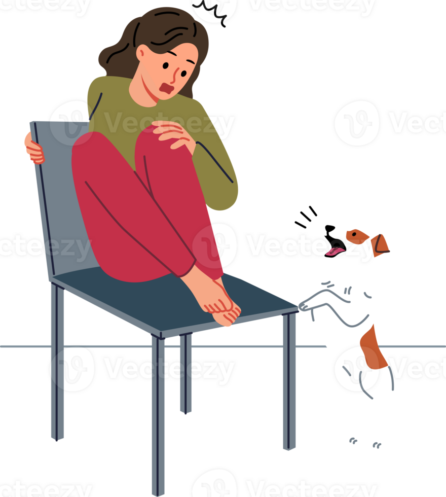 Tonårs flicka är rädd av hund och klättrar till stol till Dölj från valp och behov behandling för cynofobi. unge känner panik ge sig på på syn av husdjur på grund av till cynofobi eller möjlighet av allergisk reaktion png