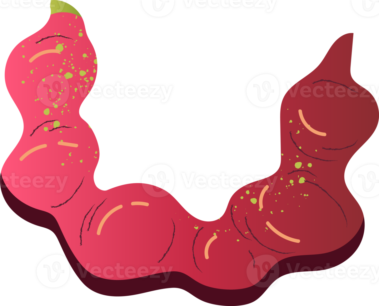 Pithecellobium dulce organic healthy beans png