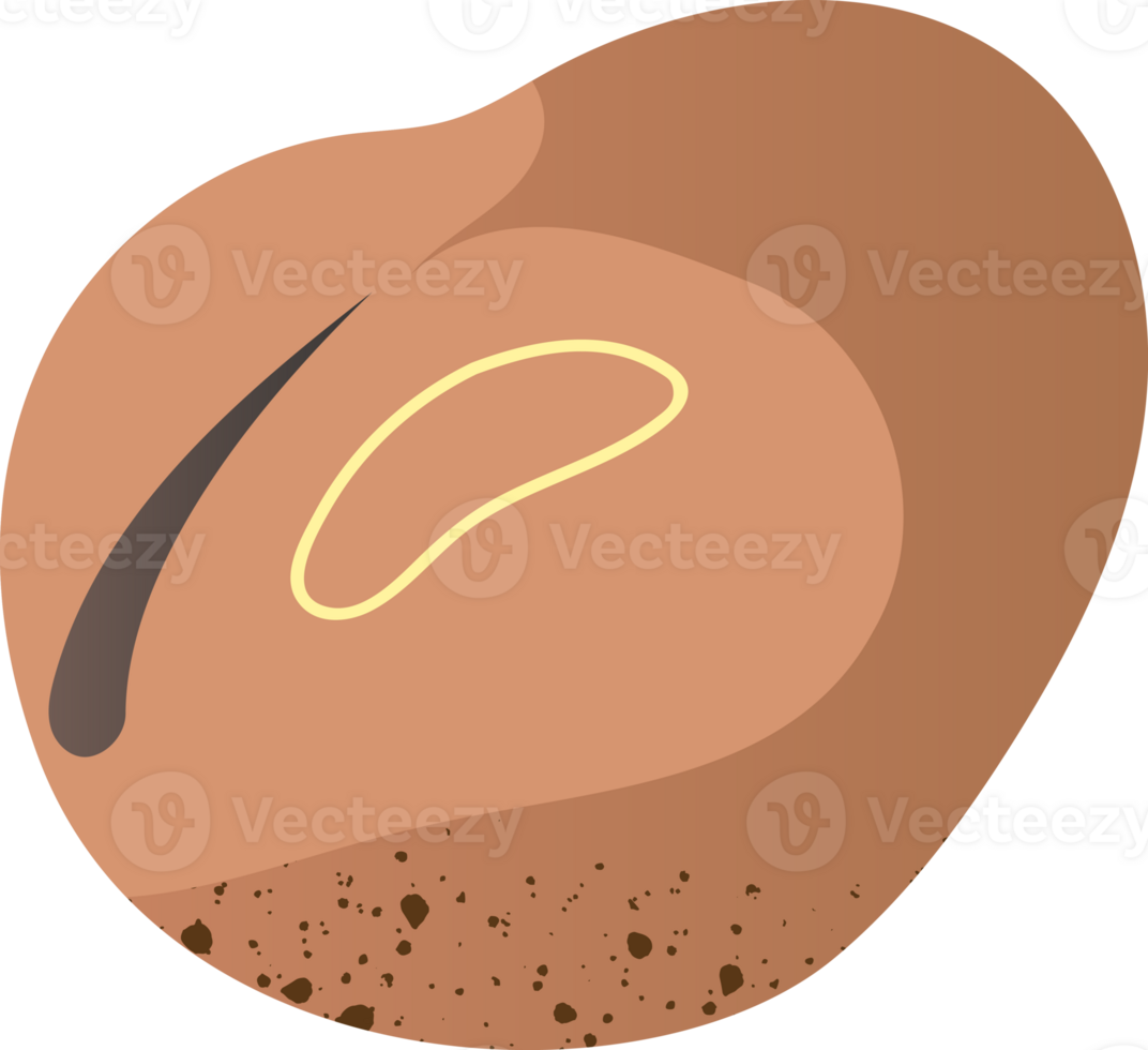 Organic bean for healthy food png