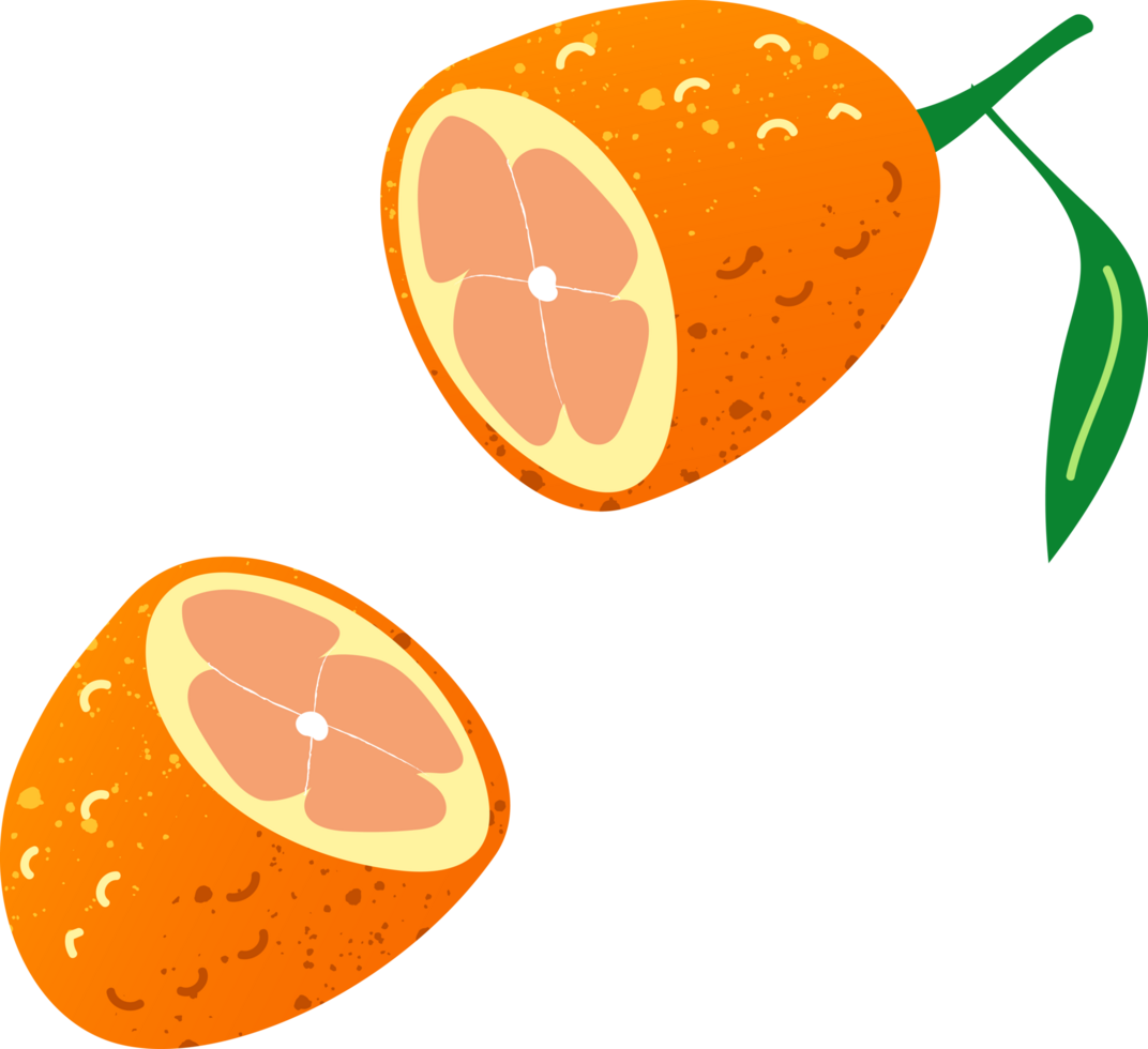 pezzo kumquat fresco biologico frutta png