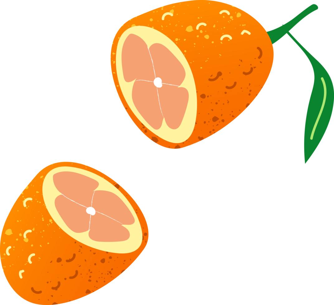Piece kumquat fresh organic fruit png