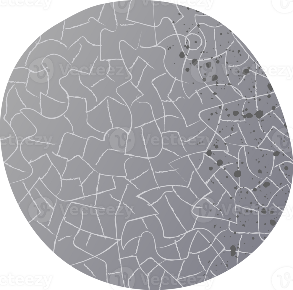 Whole musk melon fresh fruit png