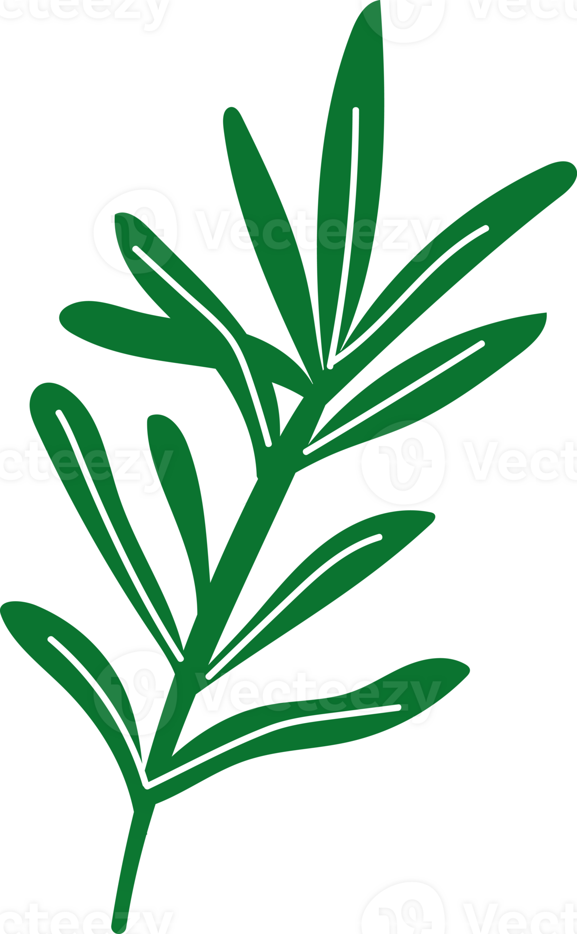 Rosemary green healthy organic food 43728845 PNG