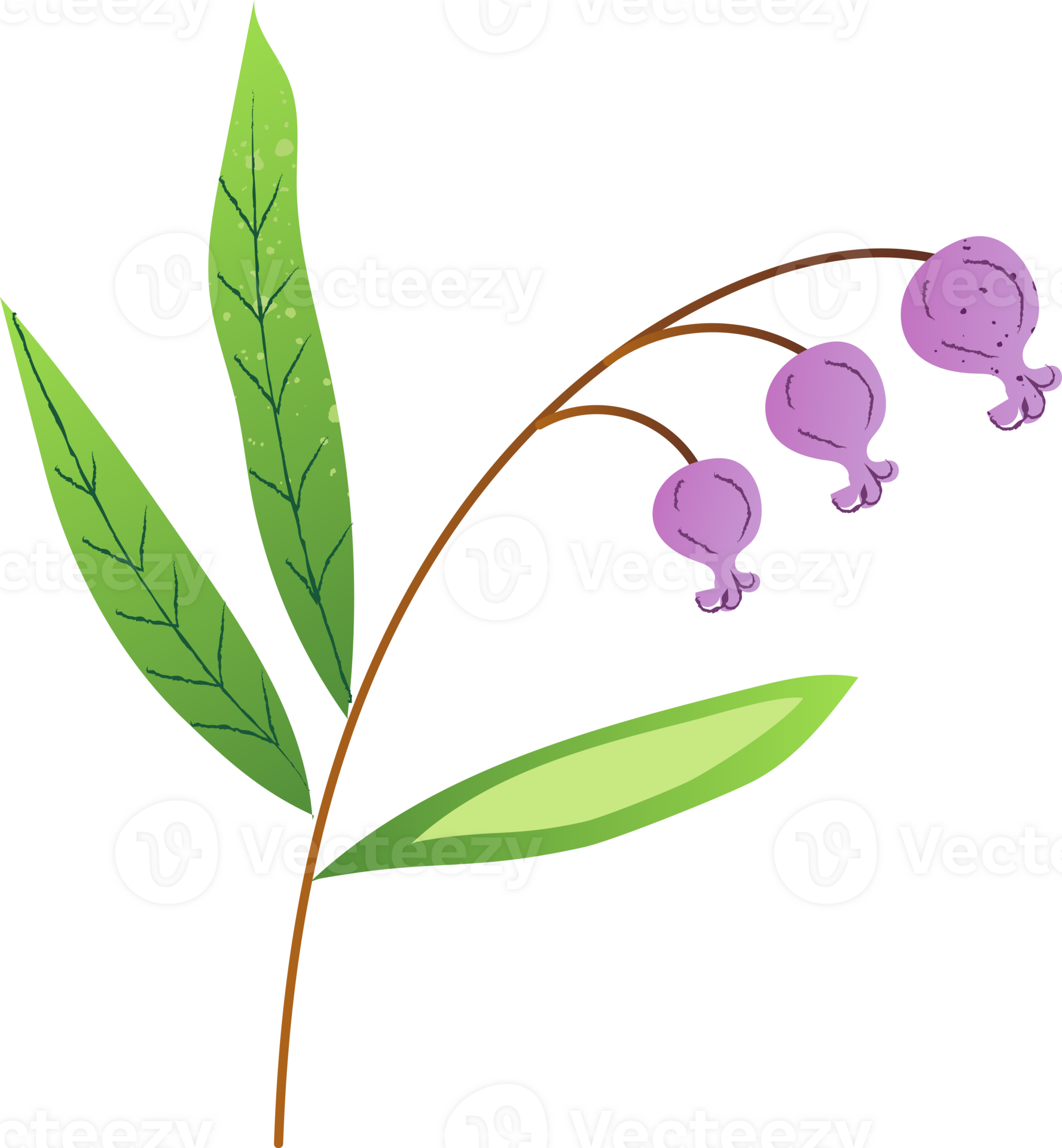 Bog rosemary green healthy food 43728910 PNG