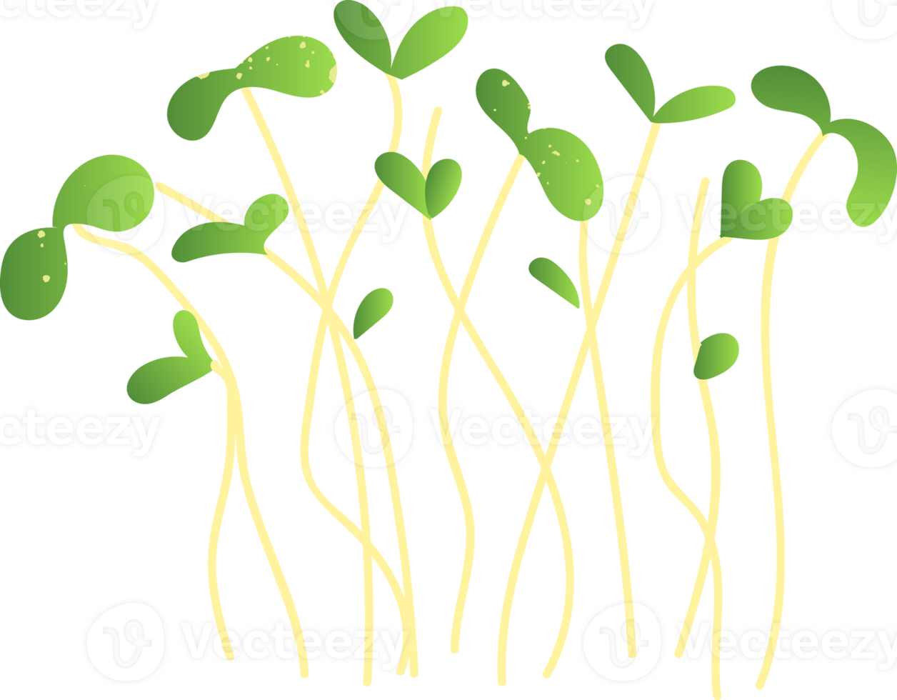 Microgreens green healthy organic food png