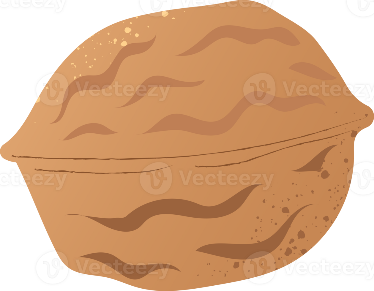 Whole walnut fresh organic nut png