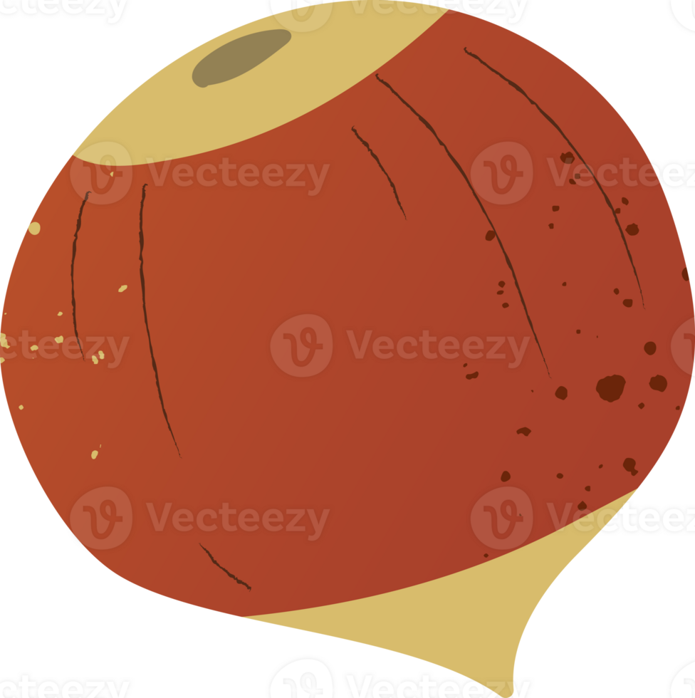 Whole hazelnut fresh organic nut png