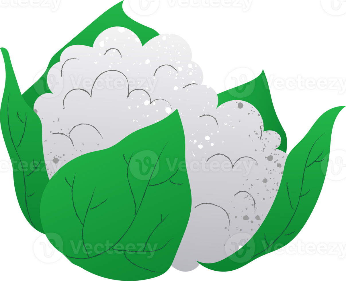 Whole cauliflower organic fresh vegetables png
