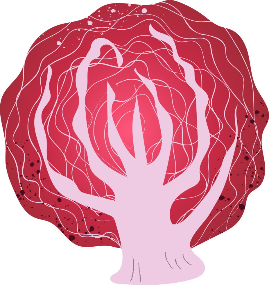 Whole red cabbage organic vegetables png