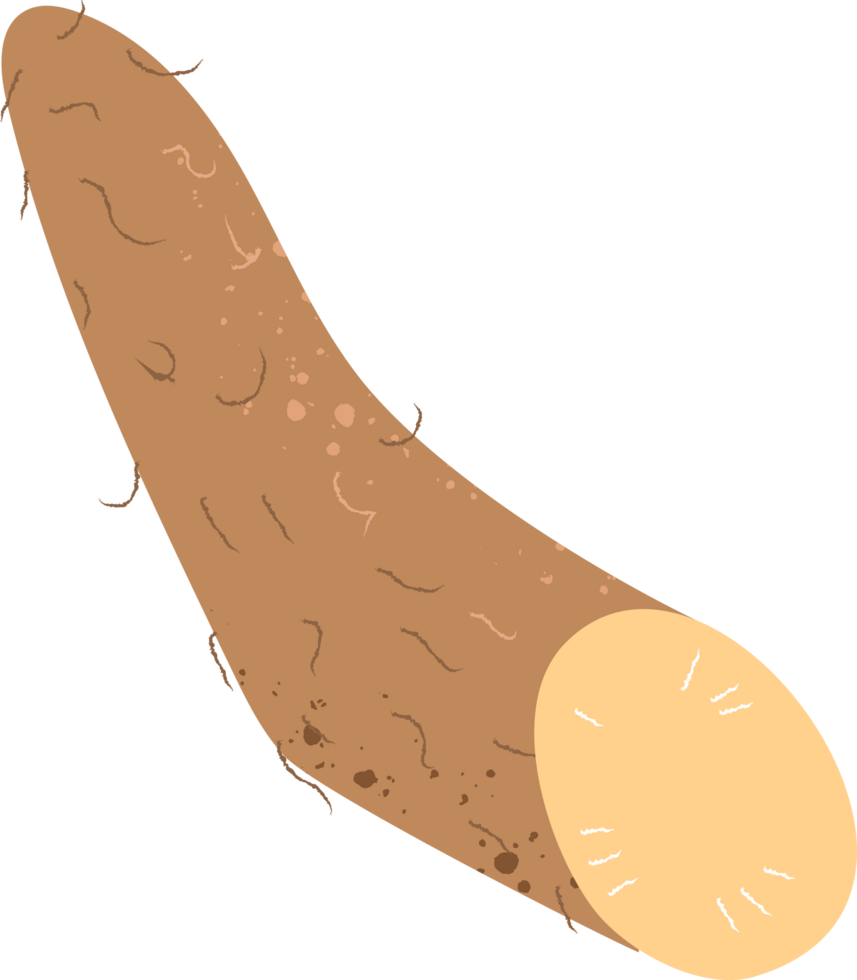Piece yam organic fresh vegetables png
