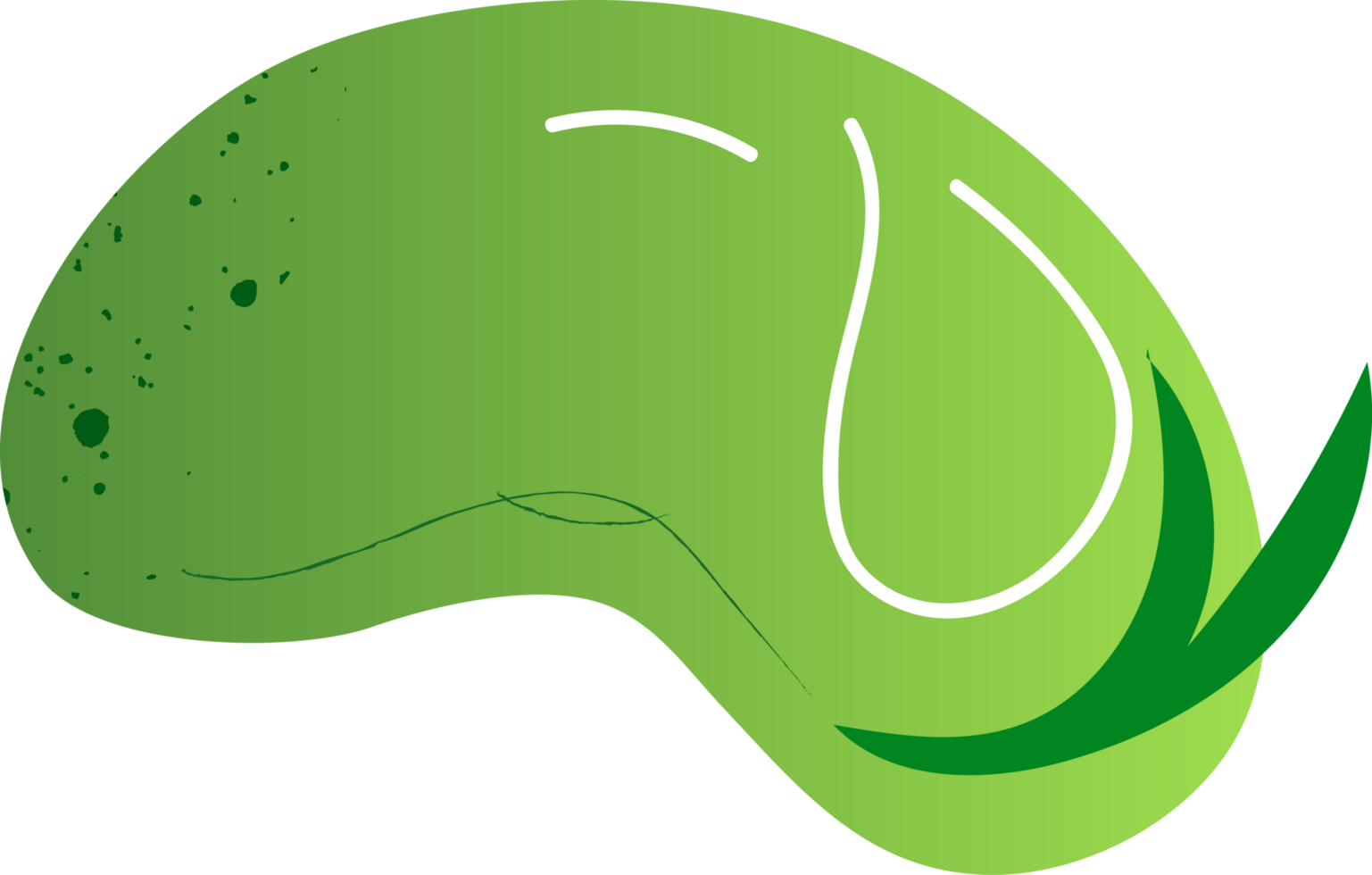 Whole broad bean organic vegetables png
