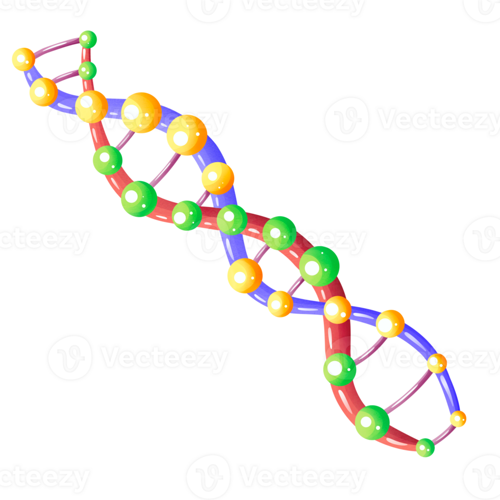 Colorful DNA symbol png