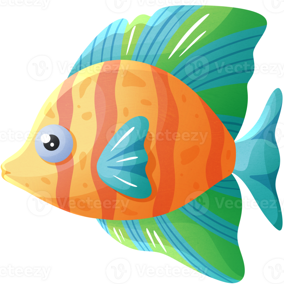 Multi-colored fish swimming underwater, for advertising diving during vacation at sea png