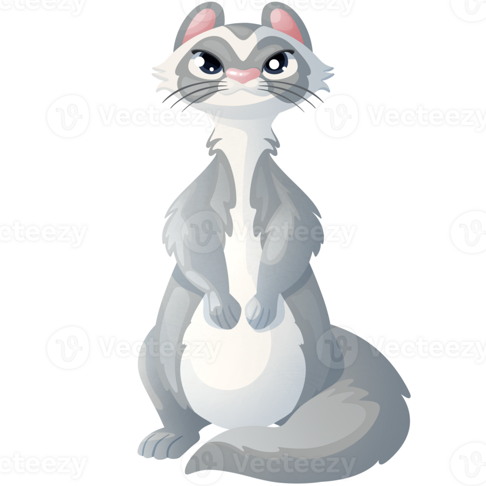 Gray ferret. Home pet. Cute mammal with pretty eyes. Love to animals. Fluffy ferret png