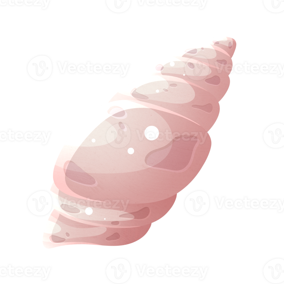 Pink shell found on seashore by vacationing tourists visiting exotic resort on their summer vacation png