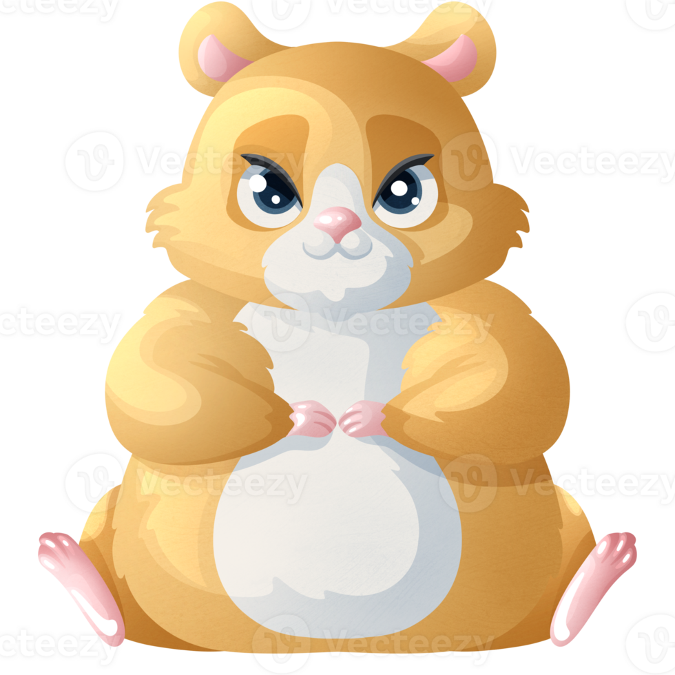 Dear hamster. Home pet. Cute rodent with pretty eyes. Love to animals. Fluffy hamster png