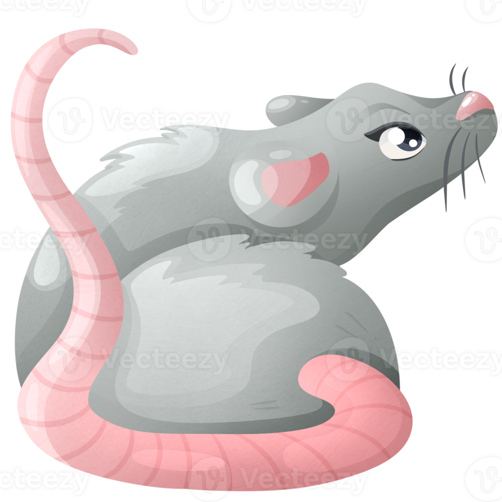 Gray rat. Home pet. Cute mouse with pretty eyes. Love to animals. Fluffy rat with long tail png