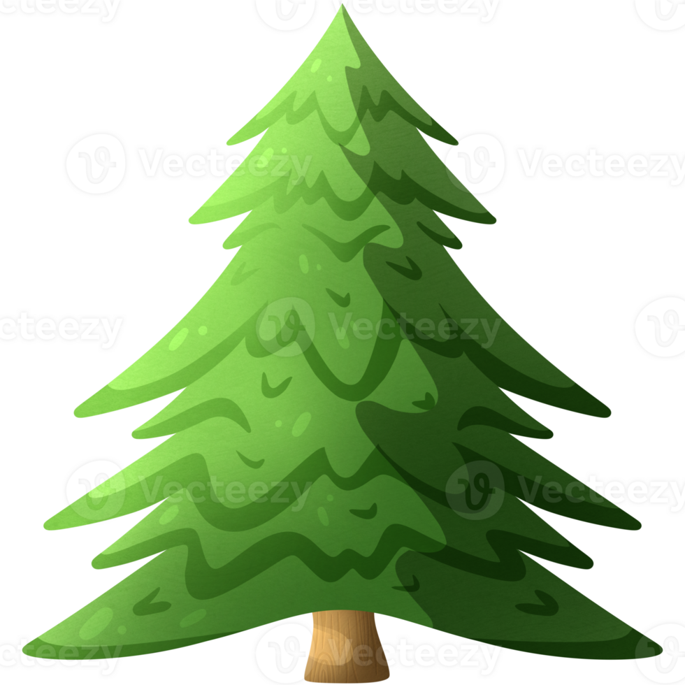 Lush spruce. Green tree. Coniferous plant. Christmas tree without decorations. Evergreen spruce. png