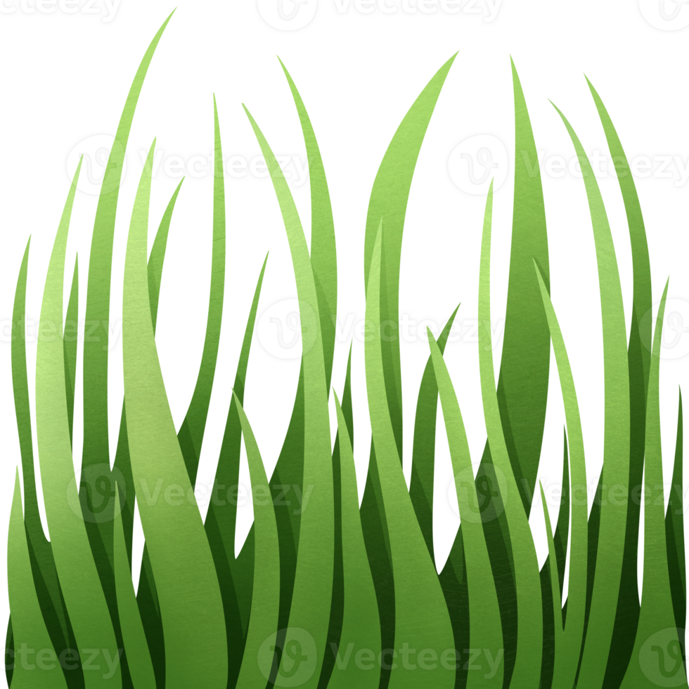 Wild growing grass. Green meadow. Field grass with high petals. Lawn plants. Weed with wavy leaves. png