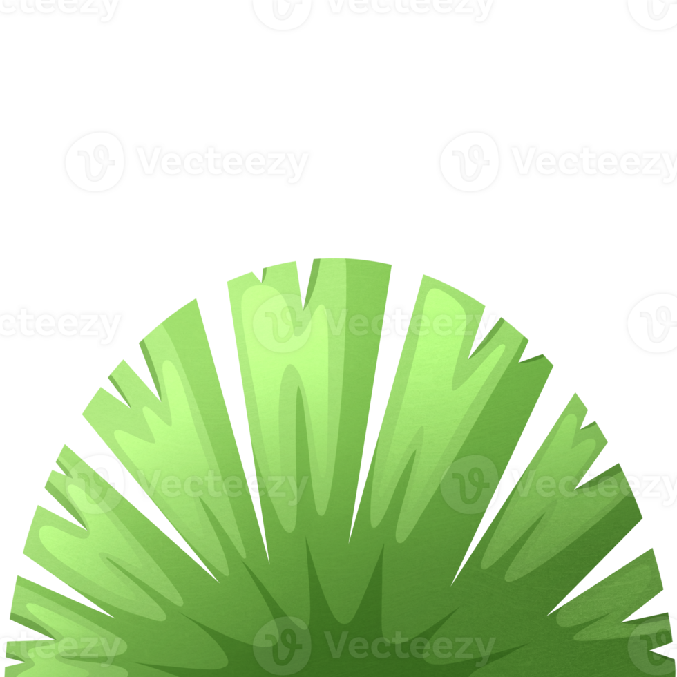 Exotic bush. Plants from tropical climates. Flora element. Bush for landscape design of territory png